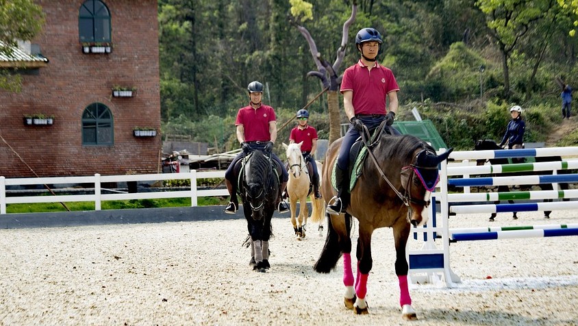 Cavaliers pratiquant l'équitation