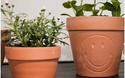 Comment décorer un jardin ?