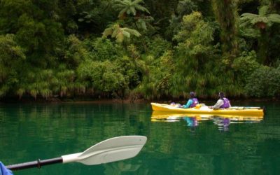 Découvrir les Marlborough Sounds lors de son séjour en Nouvelle-Zélande