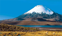 Partir en vacances au cœur de la nature chilienne