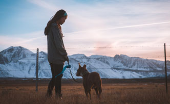 Le collier de dressage : est-il bénéfique pour l’éducation d’un chien ?