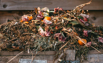 Différences entre terreau et compost