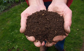 Différences entre terre végétale, compost et paillis