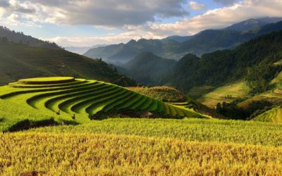 Séjour sportif au Vietnam : 3 activités de choix à expérimenter